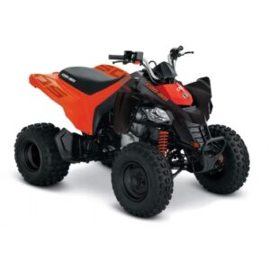 CAN-AM Renegade YOUTH DS