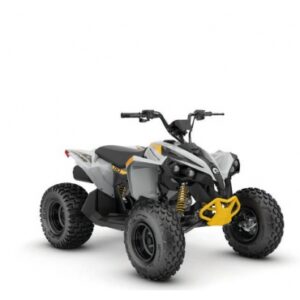 CAN-AM Renegade YOUTH 110